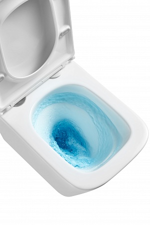 Подвесной унитаз безободковый Terminus Ватикан Monolit 490х340 белый Озёрск - фото 8