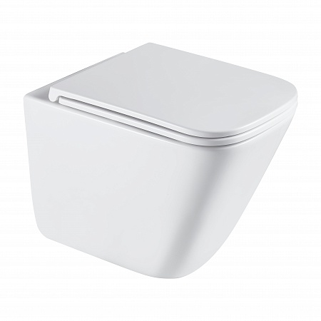 Подвесной унитаз безободковый Terminus Ватикан Monolit 490х340 белый Озёрск - фото 2