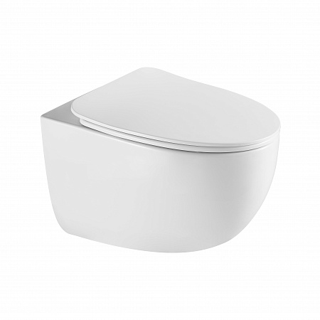 Подвесной унитаз безободковый Terminus Енисей Monolit 560х390 белый Озёрск - фото 2