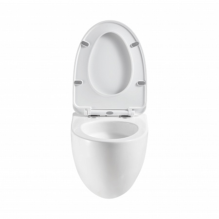 Подвесной унитаз безободковый Terminus Енисей Monolit 560х390 белый Озёрск - фото 5