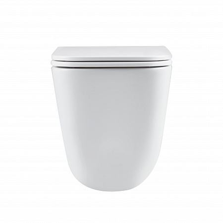 Подвесной унитаз безободковый Terminus Ватикан Monolit 490х340 белый Озёрск - фото 6