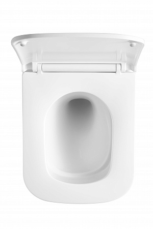 Подвесной унитаз безободковый Terminus Ватикан Monolit 490х340 белый Озёрск - фото 3